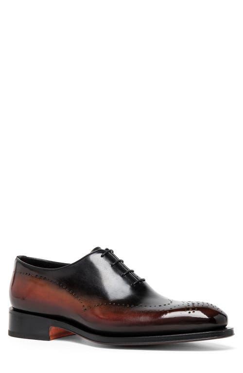 Mens Kaj Bicolor Brogue Leather Oxfords Product Image