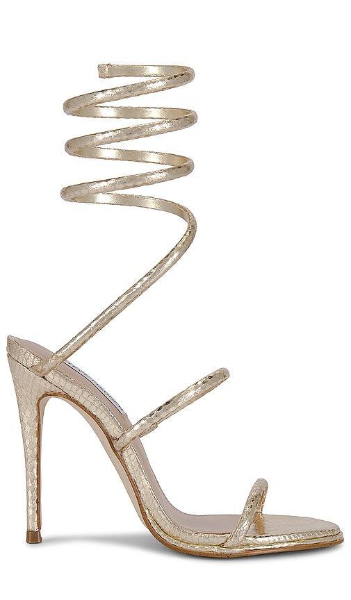 Exotica Heel Steve Madden Product Image