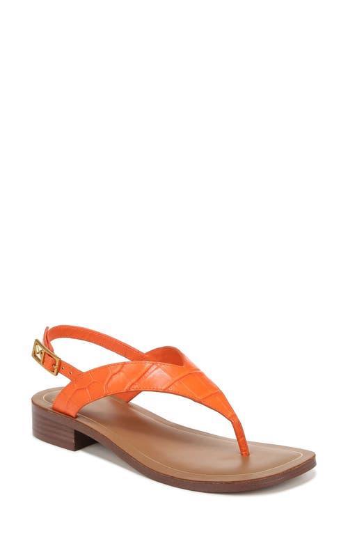 Franco Sarto Iris Ankle Strap Thong Sandals Croc Print Leather) Women's Sandals Product Image