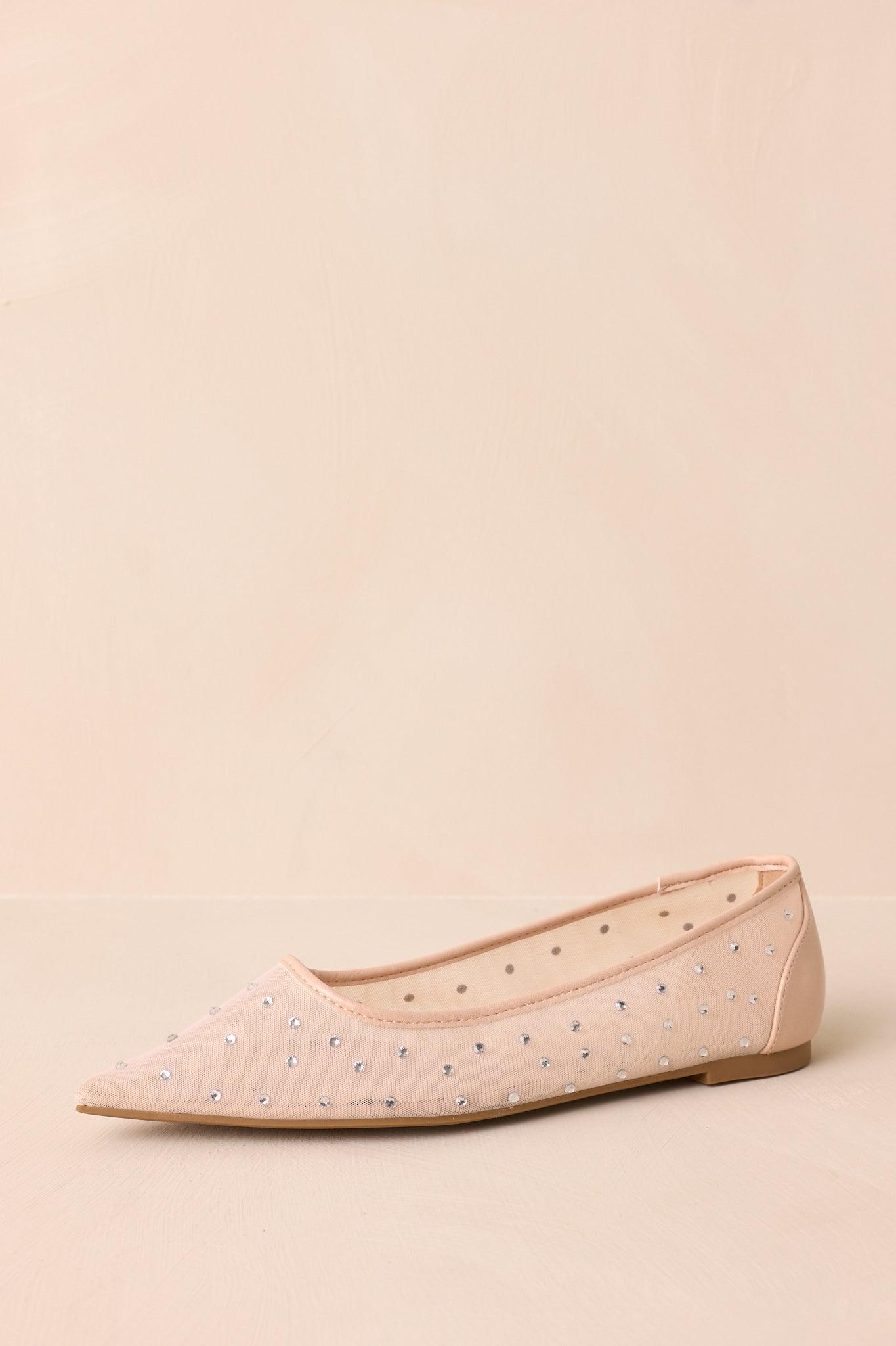 Shining Bright Nude Pointed Toe Mesh Ballet Flats Product Image