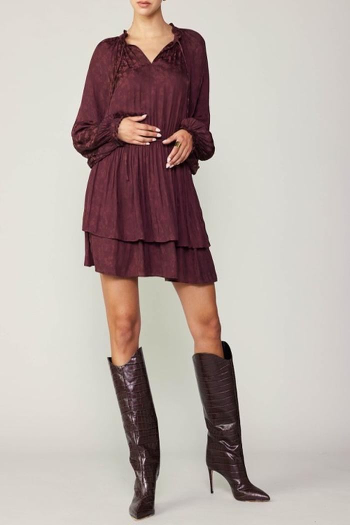 Long Sleeve Mini Dress Product Image