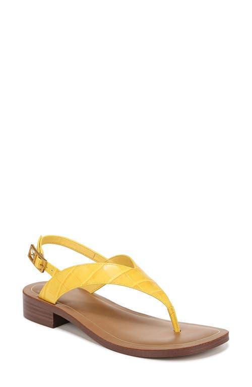 Franco Sarto Iris Ankle Strap Thong Sandals Croc Print Leather) Women's Sandals Product Image