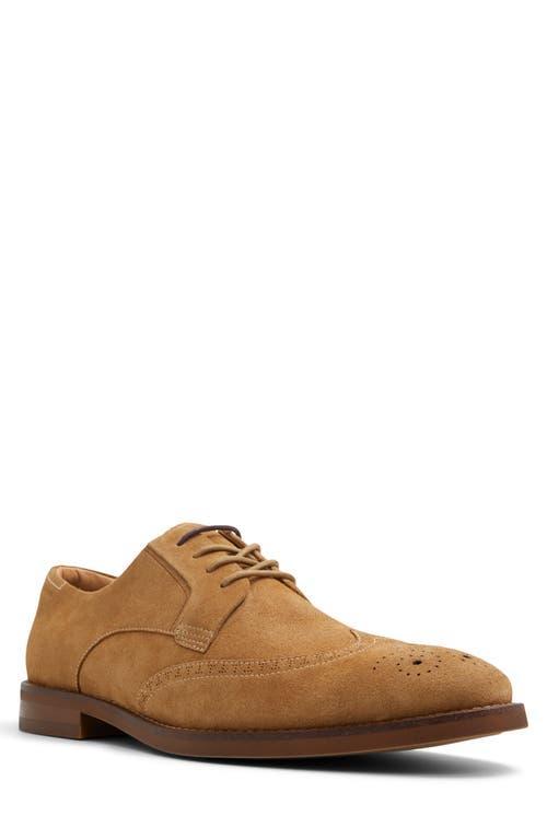 Ted Baker Mens Hackney Dress Shoes Product Image