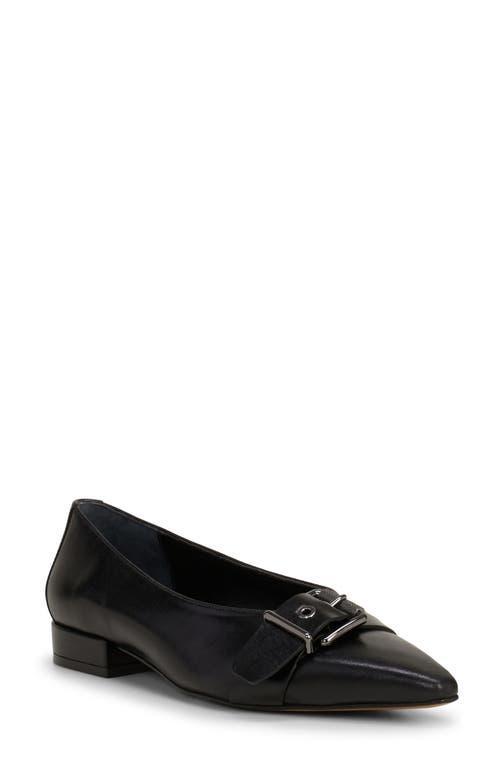 Vince Camuto Womens Megdele Pointed Toe Flats Product Image