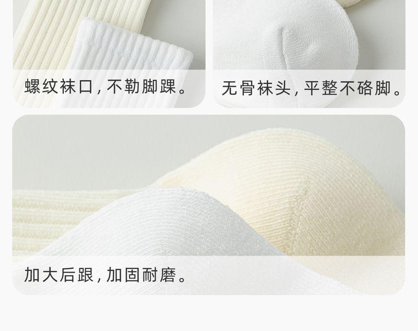 Plain Ribbed Socks / Set Product Image