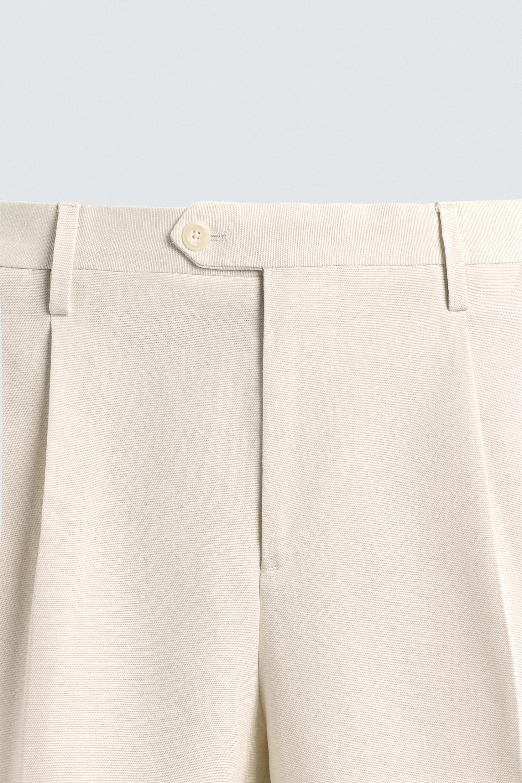 REGULAR FIT PLEATED PANTS Product Image