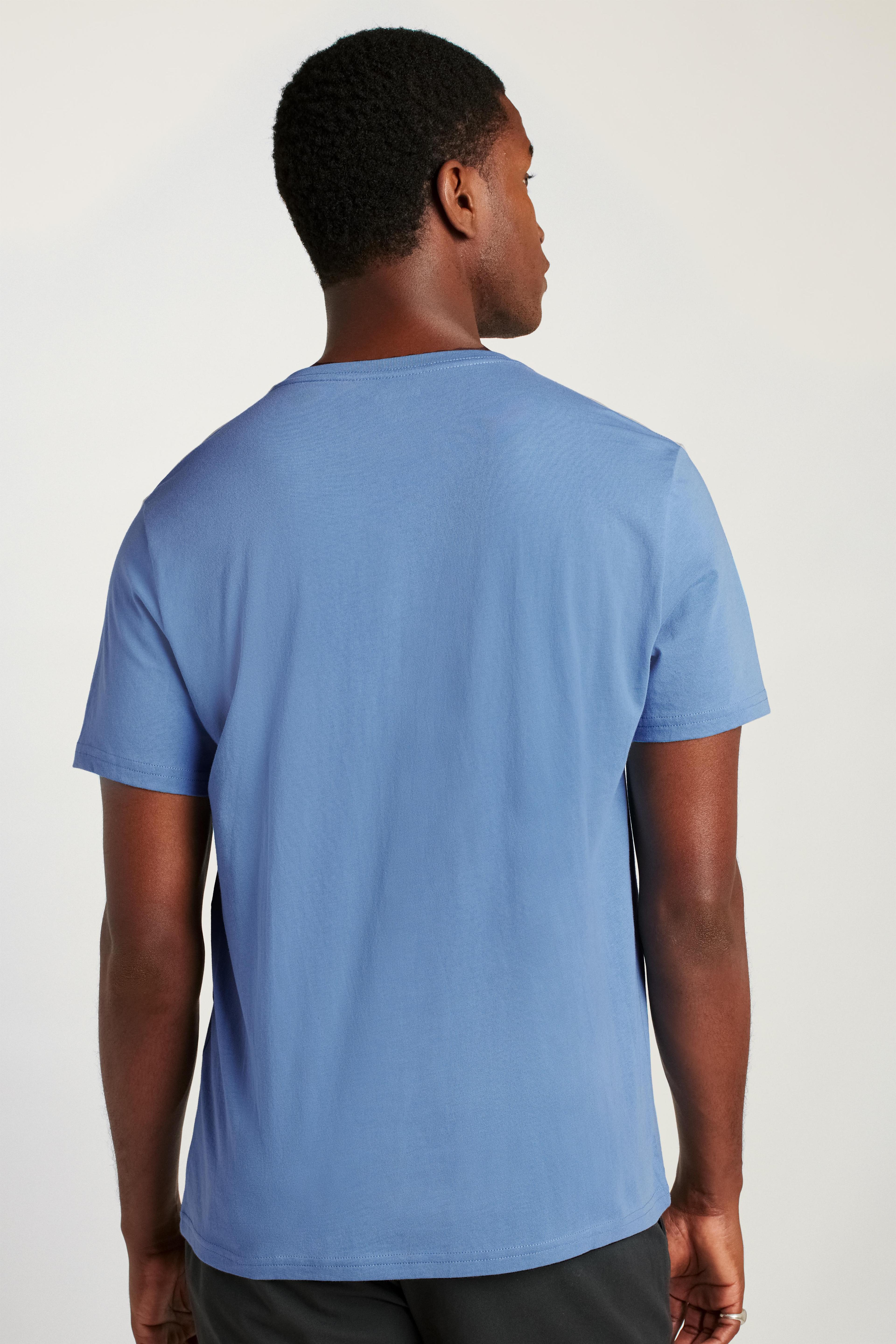 Organic Cotton V-Neck Tee Product Image