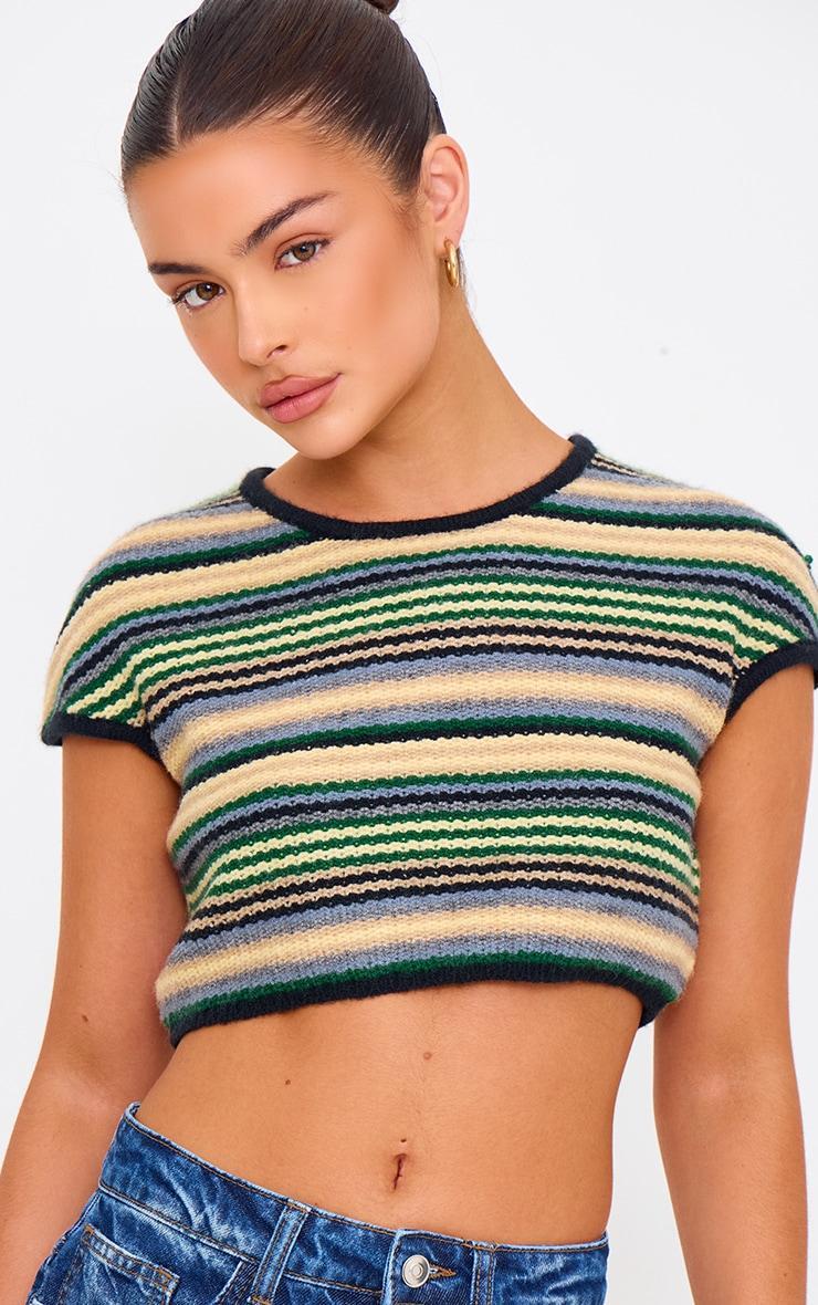 Multi Stripe Textured Knit Basic Crop Top Product Image