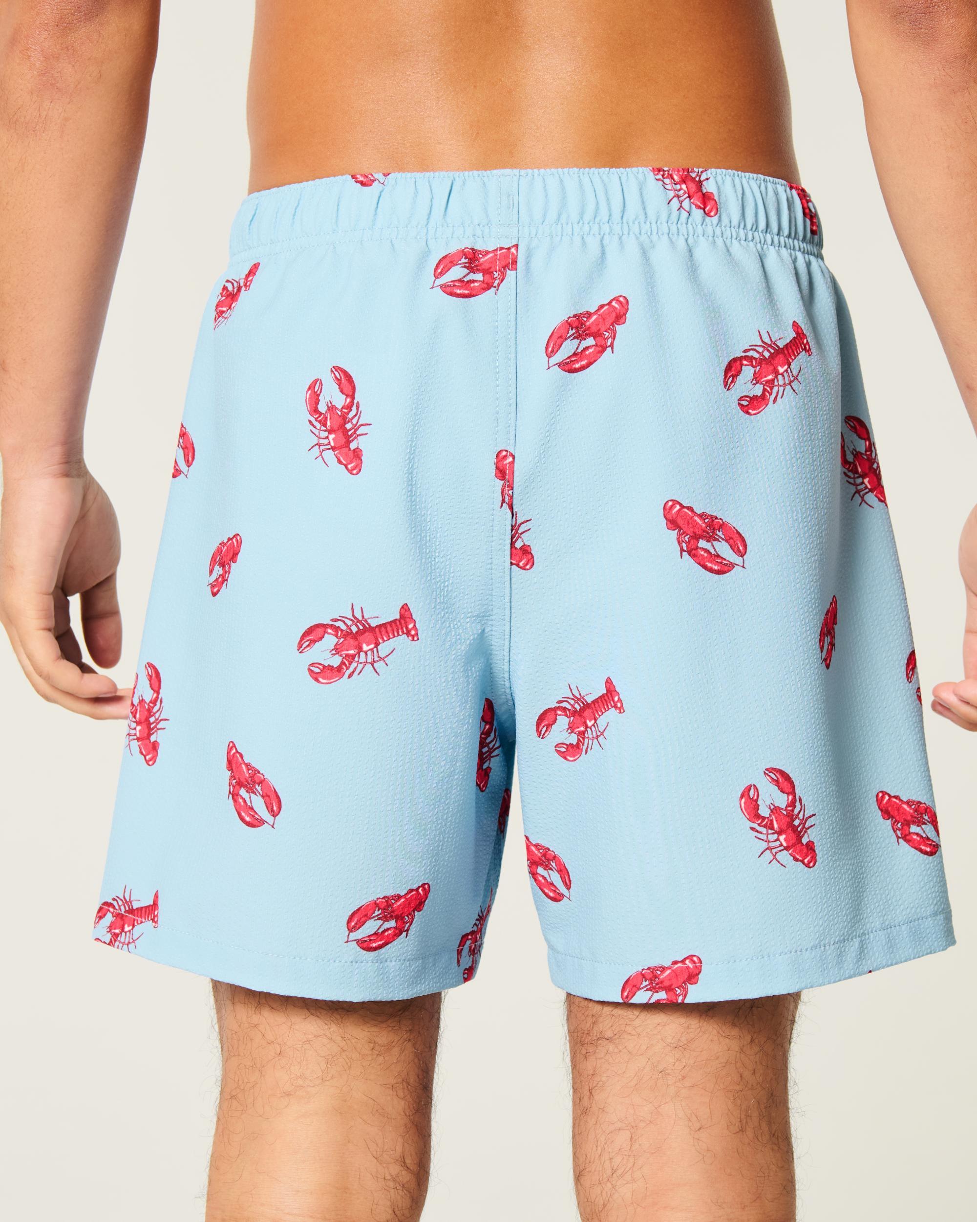 Mid-Thigh Seersucker Volley Swim Trunks Product Image