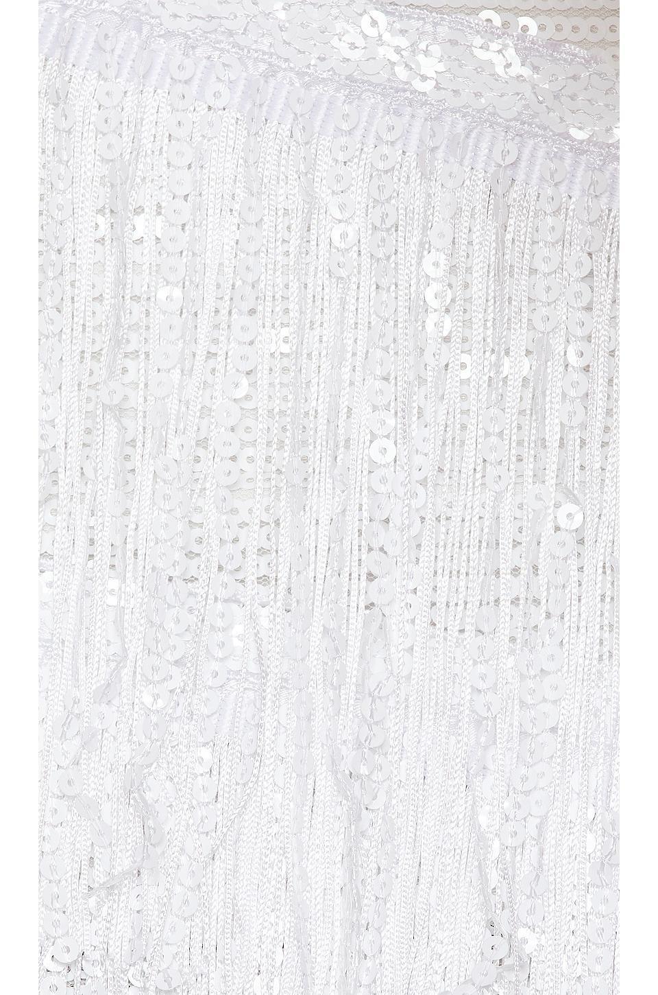 Alkira Fringe Mini Skirt superdown Product Image