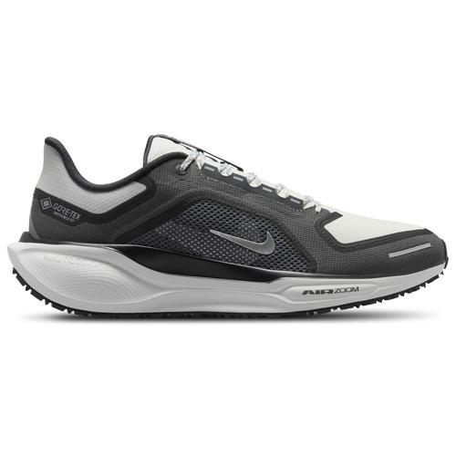 Nike Men's Pegasus 41 GORE-TEX Waterproof Road Running Shoes Product Image