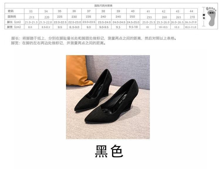 Wedge Heel Pointed Toe Plain Pumps Product Image