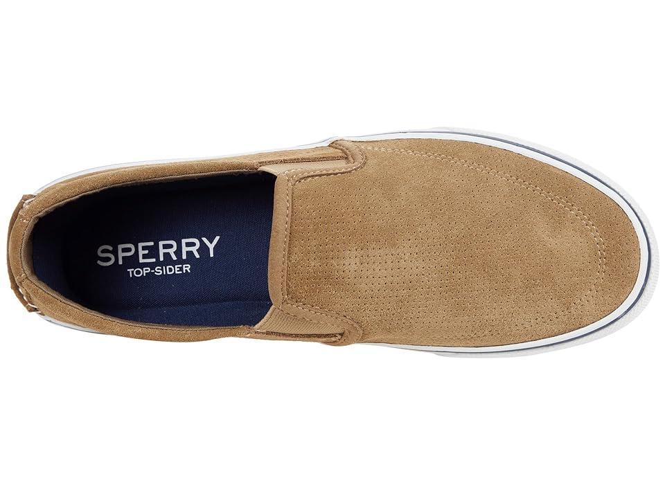 Sperry Striper II Twin Gore Perf Suede Men's Shoes Product Image