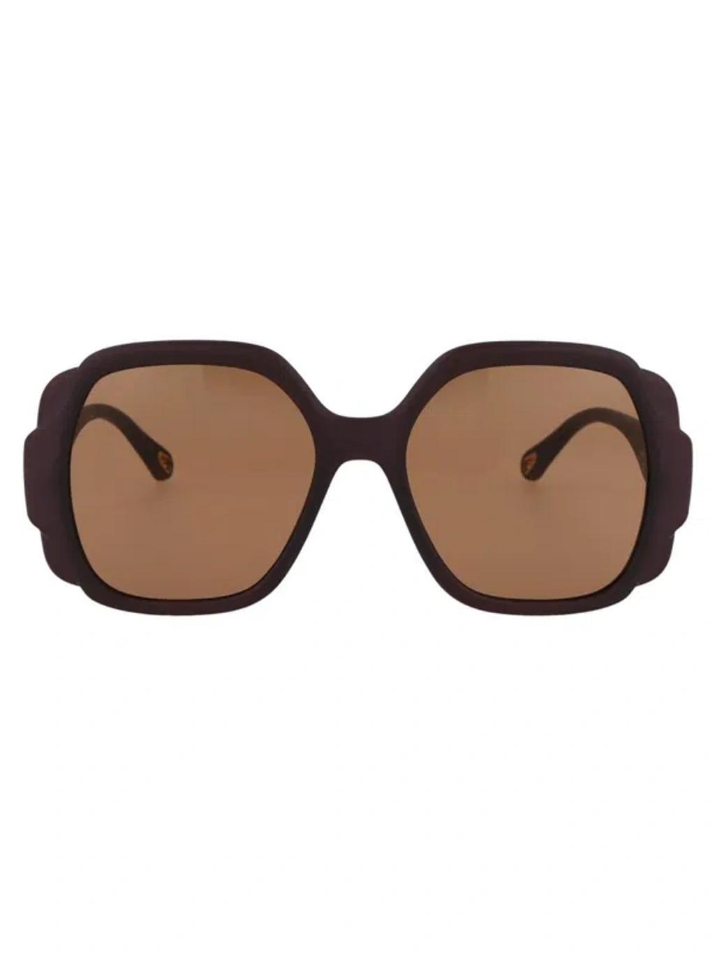 CHLOÉ Eyewear In 001 Brown Brown Brown Product Image