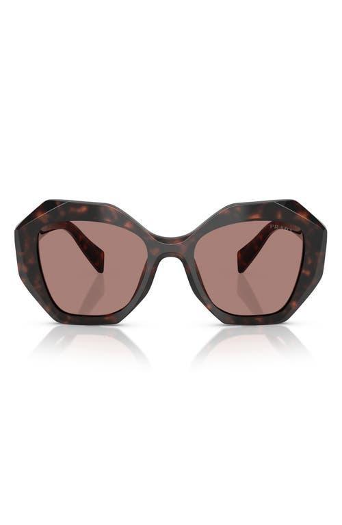 PRADA 53mm Gradient Irregular Sunglasses In Light Brown Product Image