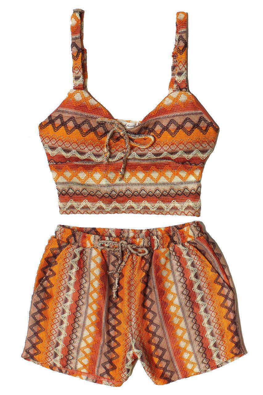 Zigzag Stripe Knit Shorts Product Image