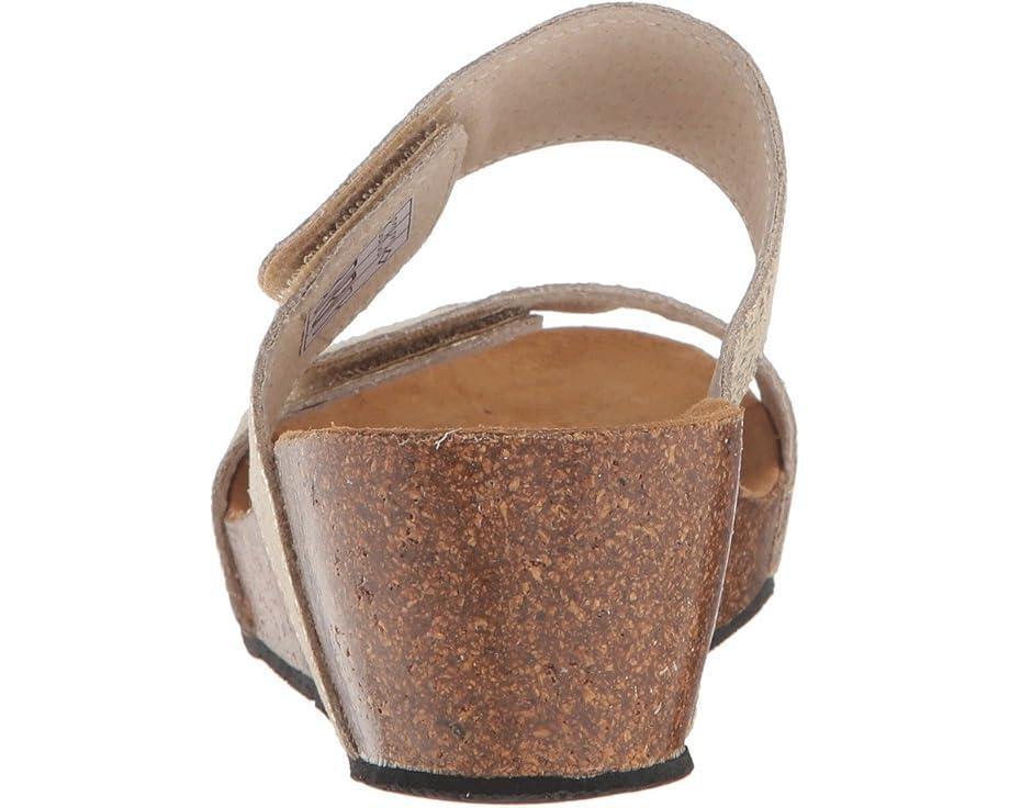 Lily 2 Product Image