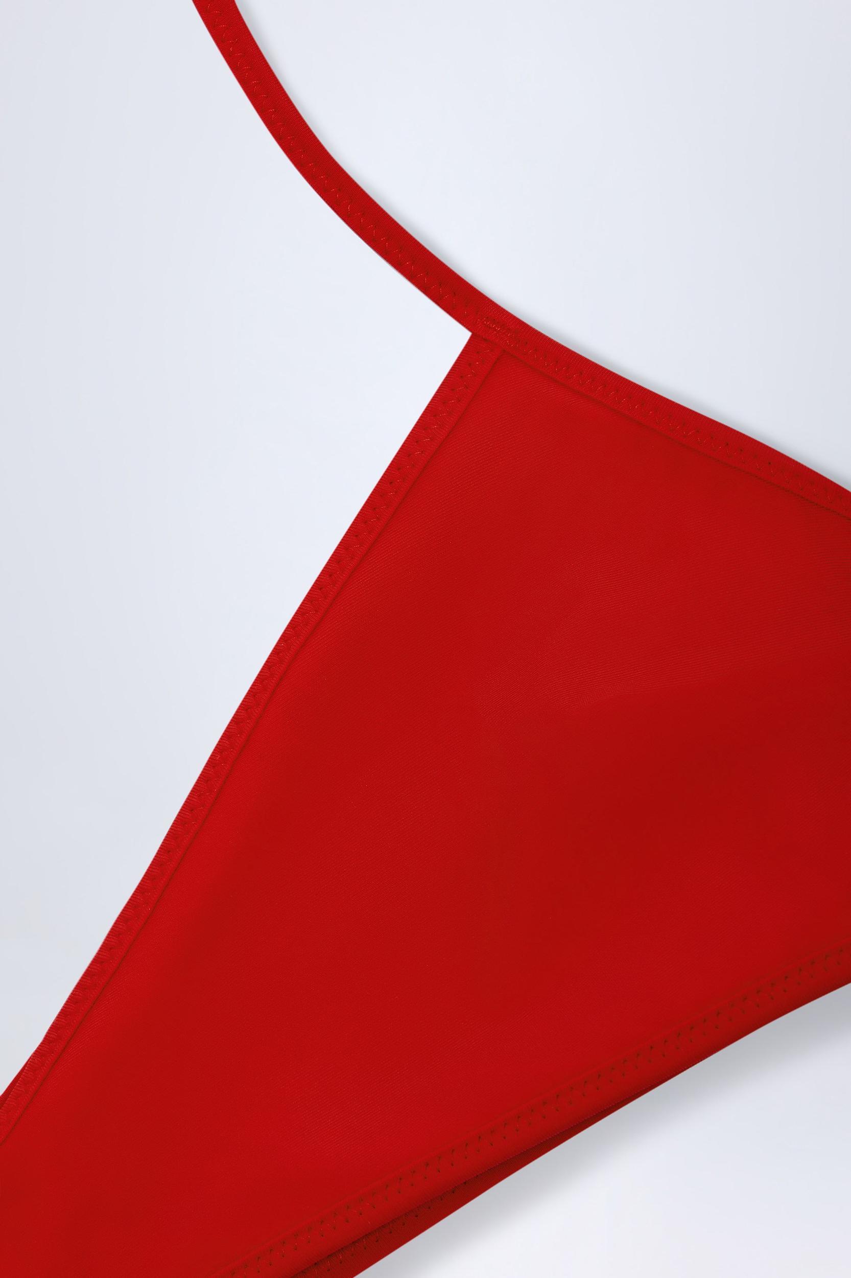 Reversible Halterneck Bikini Top in Zebra Print Product Image