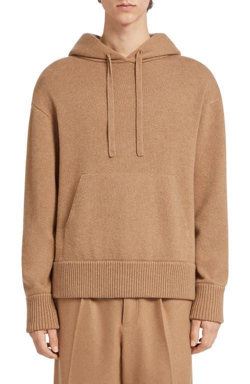 Mens Oasi Cashmere Hoodie Sweater Product Image