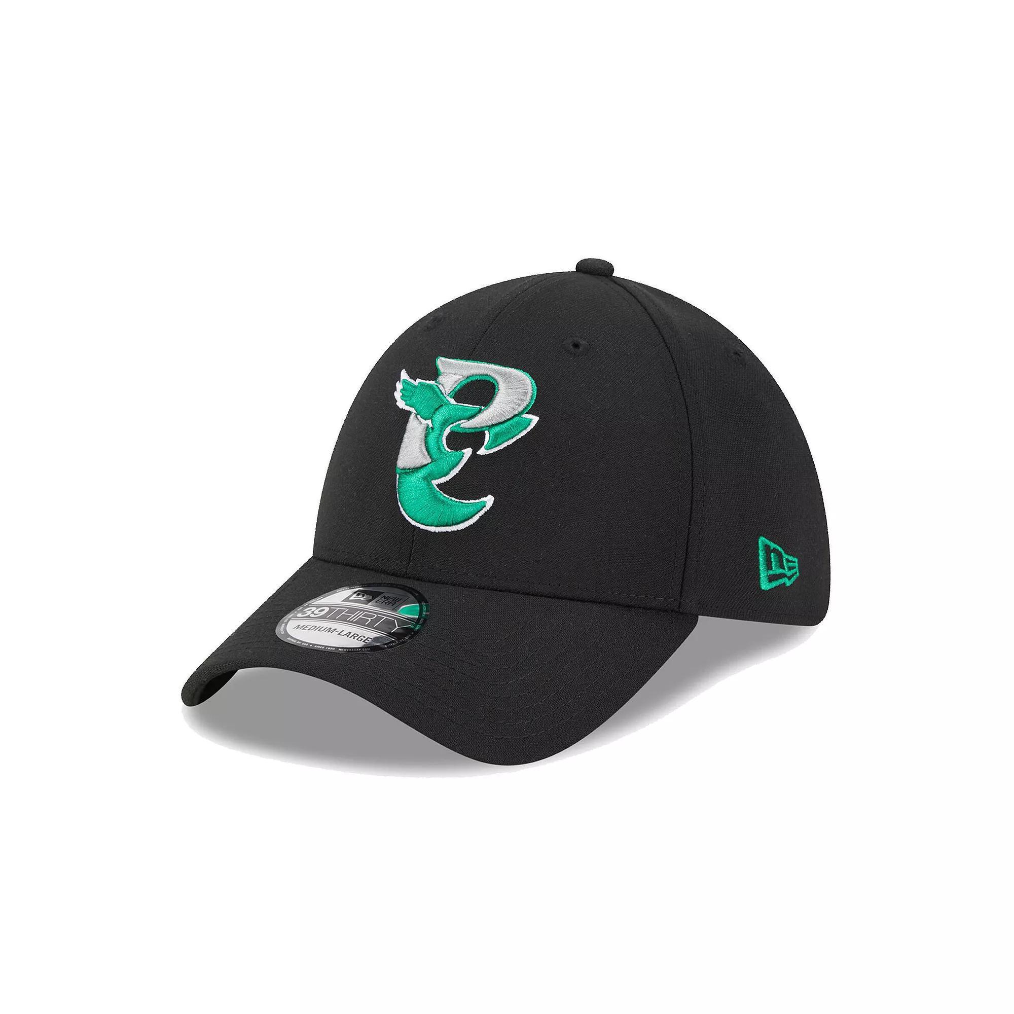 Arlington Renegades Black 39THIRTY Stretch Fit Hat Male Product Image