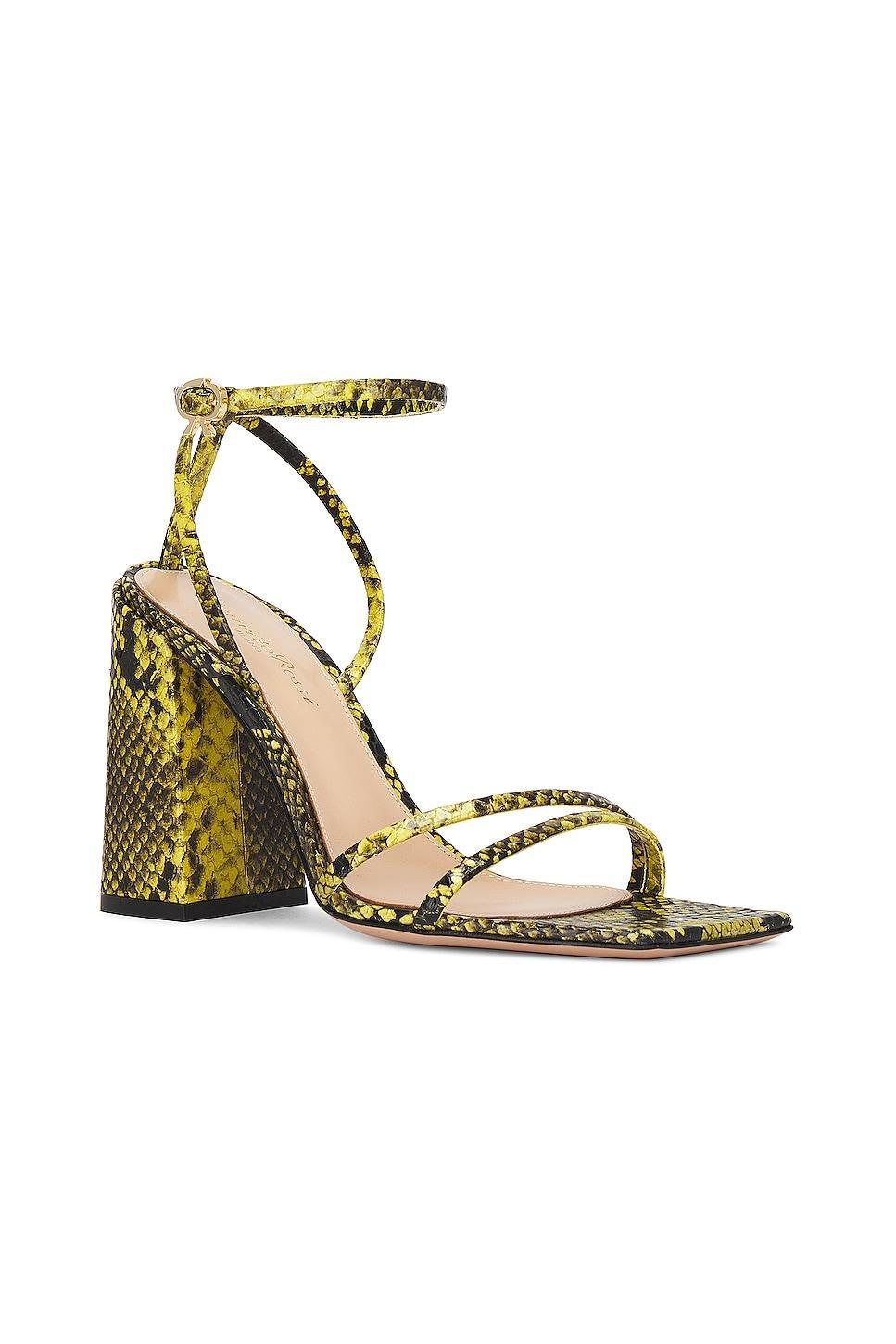 Gianvito Rossi Borneo Sandal in Green Product Image