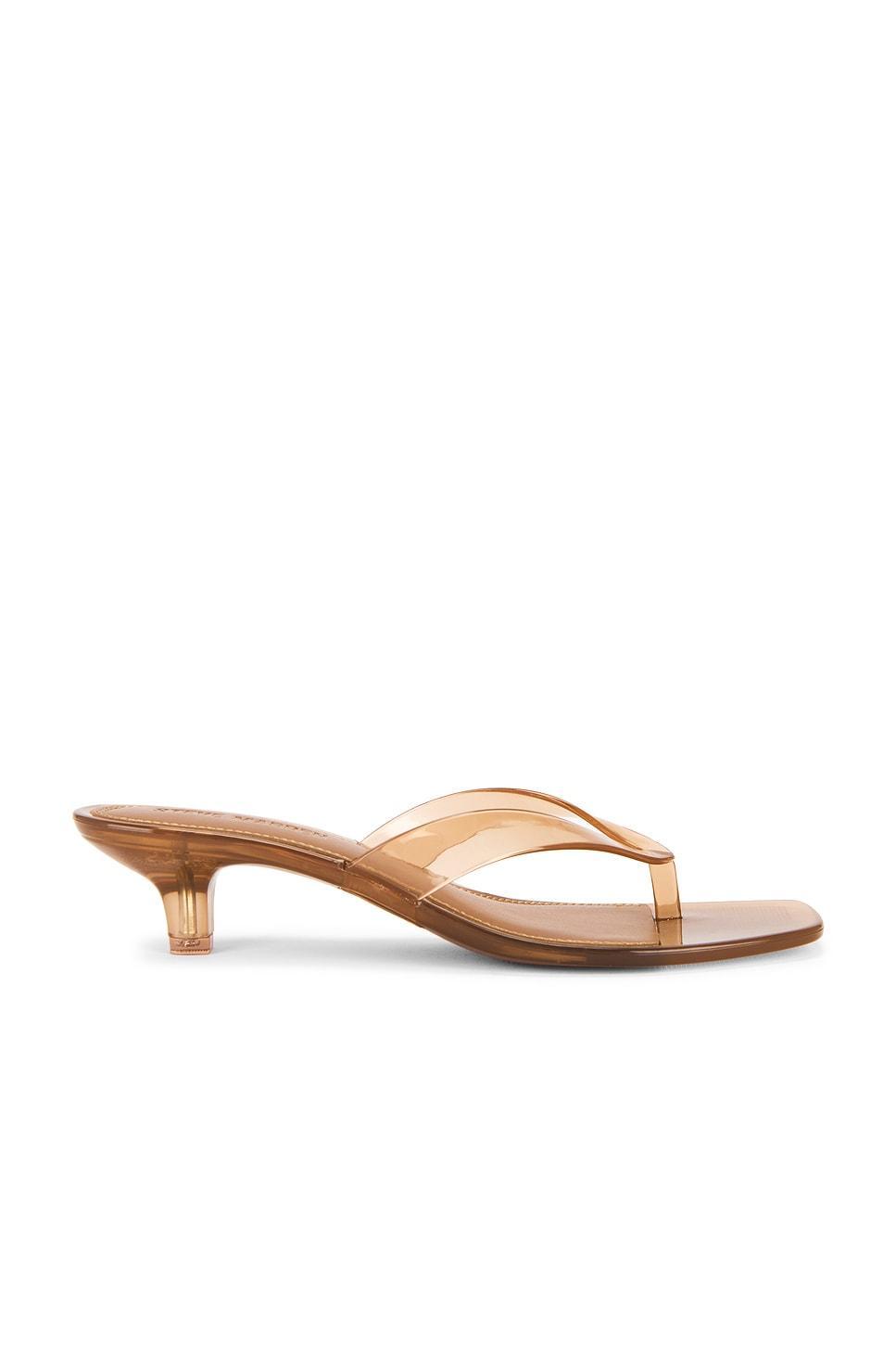 Tracie-j Sandal Steve Madden Product Image