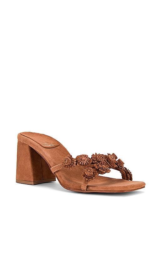 Ditzy Sandal Jeffrey Campbell Product Image