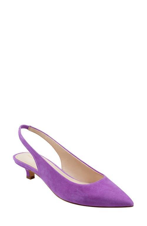 Posey Slingback Kitten-Heel Pumps Product Image