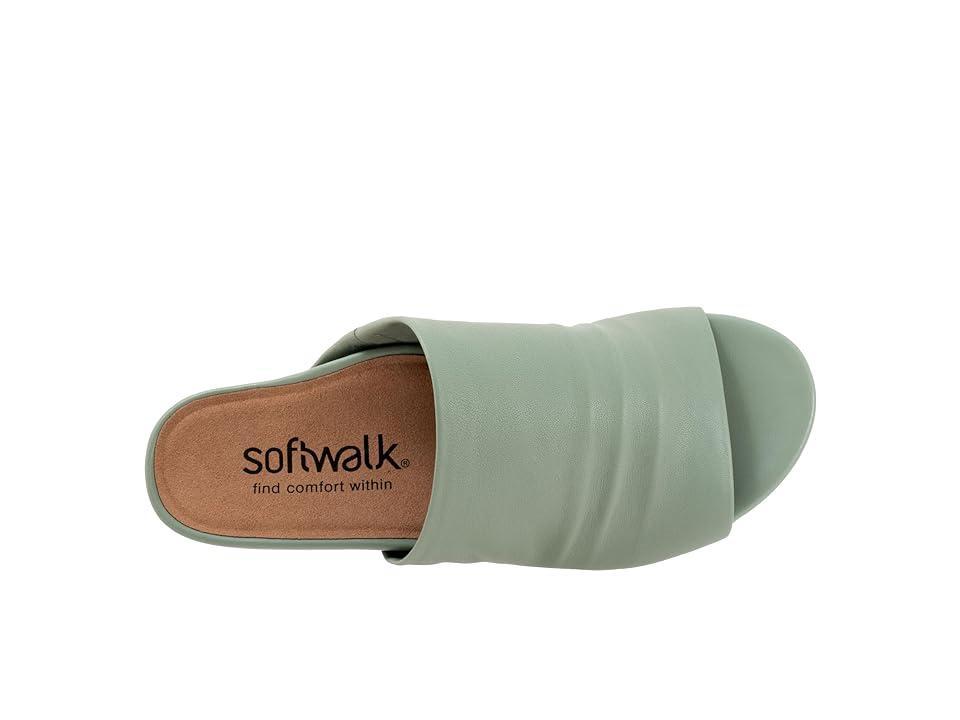 SoftWalk Camano Metallic) Women's Shoes Product Image