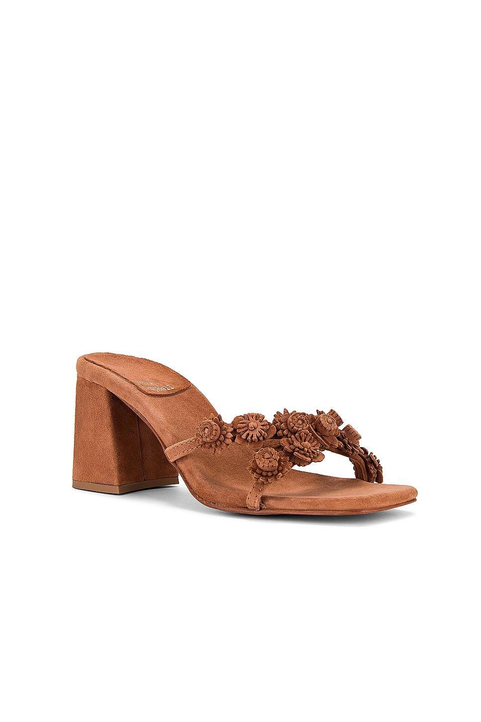 Ditzy Sandal Jeffrey Campbell Product Image