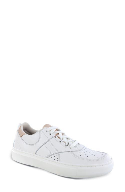 SAS High Street X Comfort Sneaker (Desert Lily) Women's Shoes Product Image