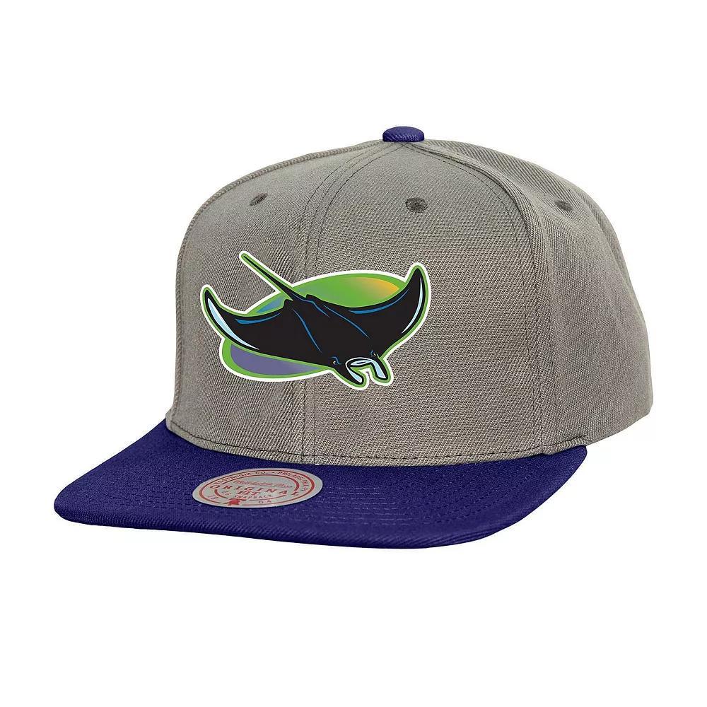 Men's Mitchell & Ness Gray Tampa Bay Rays Cooperstown Collection Basic Flip Snapback Hat, Grey Product Image