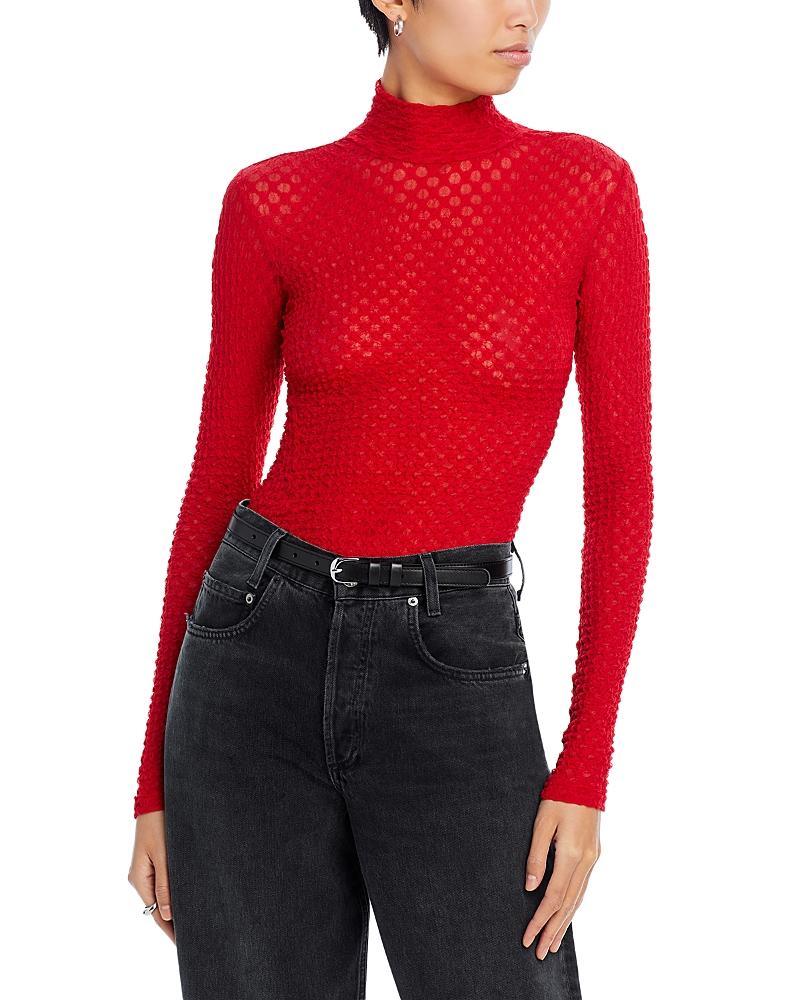 Stretch Mesh Lace Turtleneck Product Image