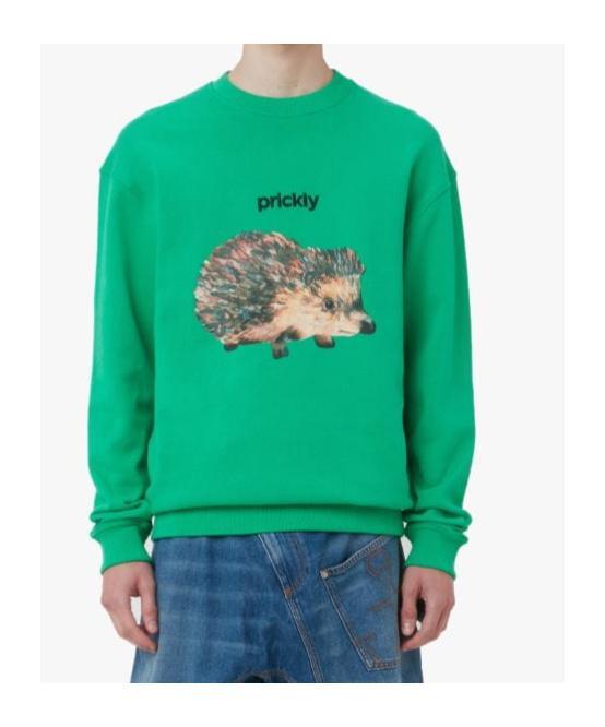 JW ANDERSON Hedgehog Print Crewneck Sweatshirt In Green Product Image