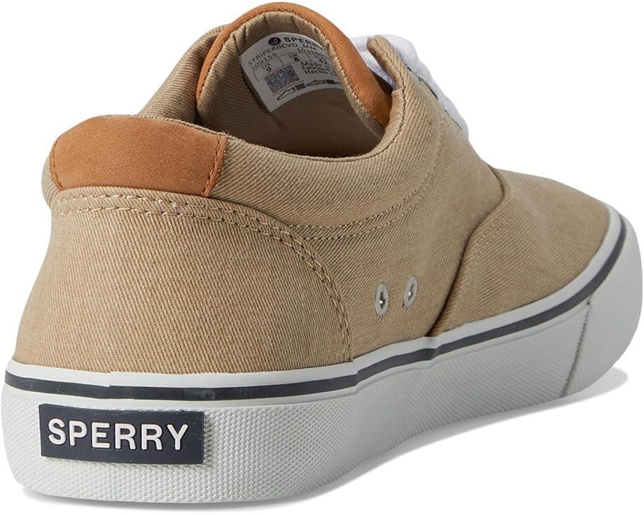 CVO Canvas Product Image