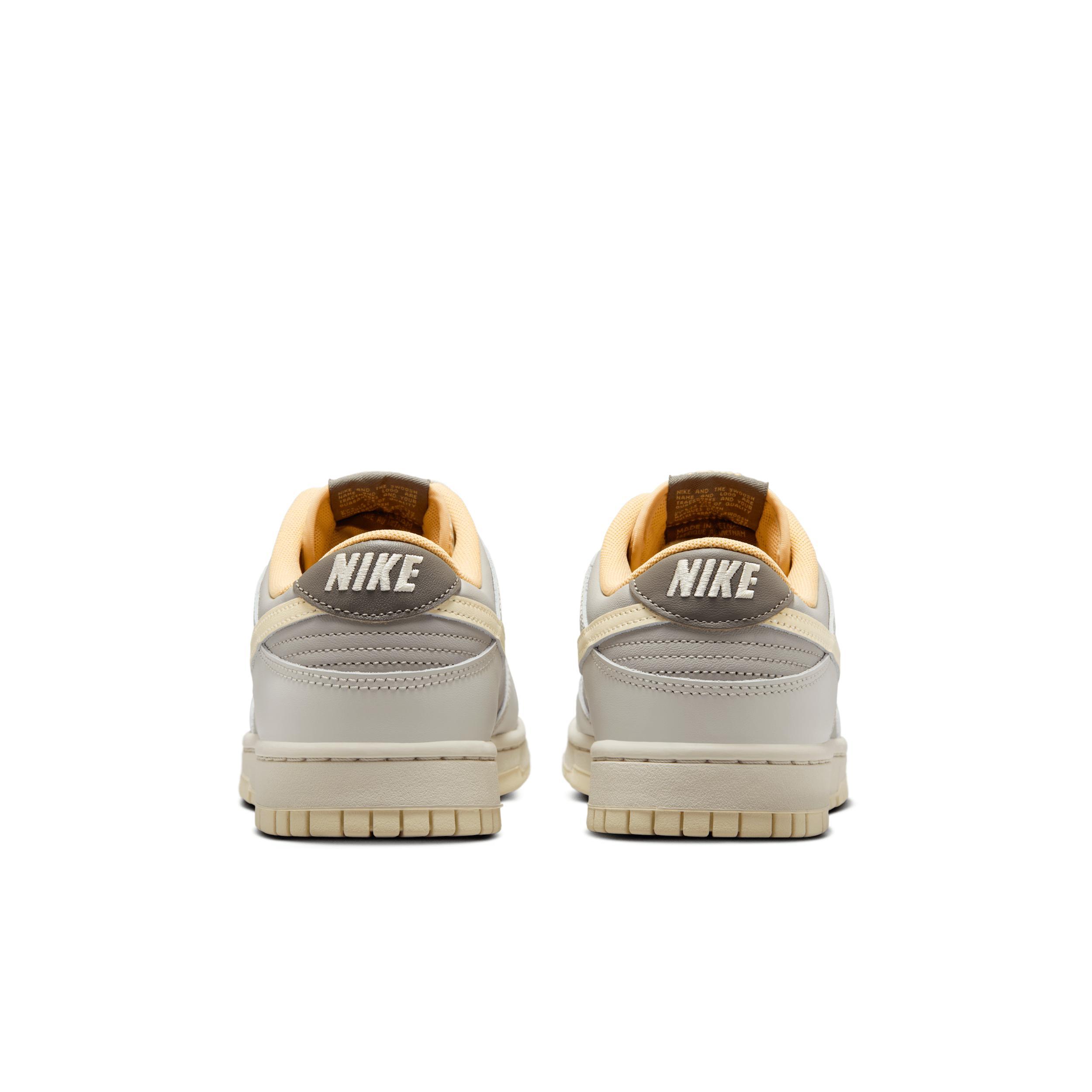 Nike Mens Dunk Low Retro Shoes | HF5441-105 Product Image