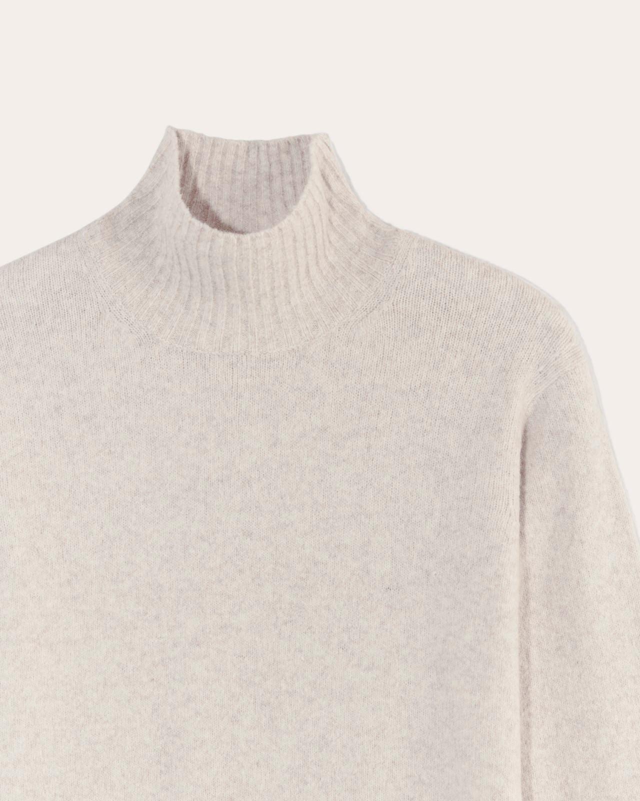 Womens Sweater Dress in Plush Cotton by Everlane Product Image