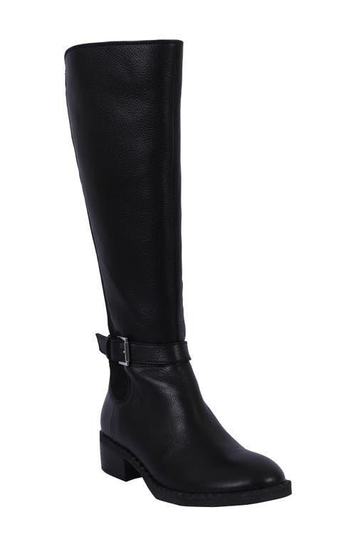 Gentle Souls by Kenneth Cole Womens Brinley Buckled Riding Boots Product Image