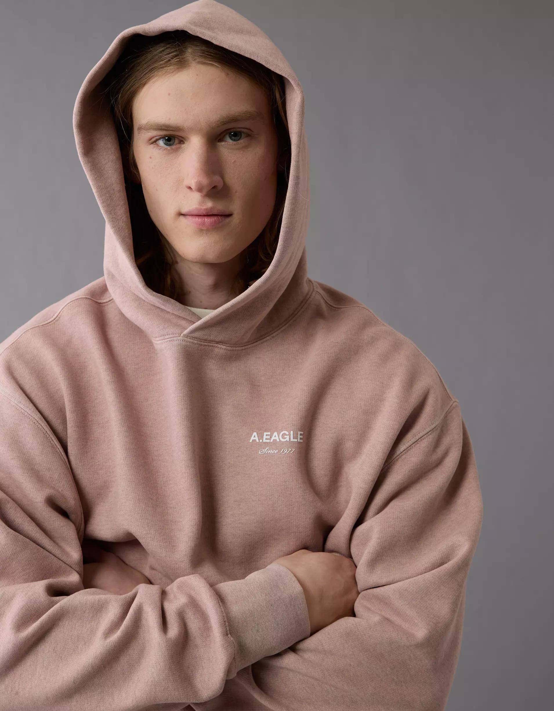 AE Laidback Luxe Heavyweight Logo Hoodie Product Image