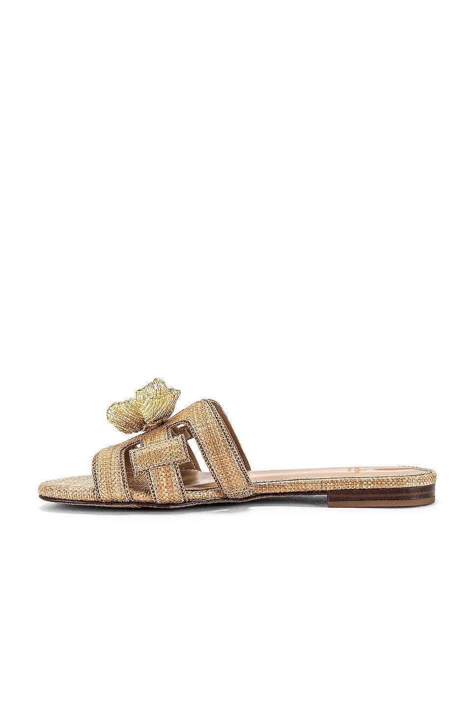 Bay Flora Sandal Sam Edelman Product Image