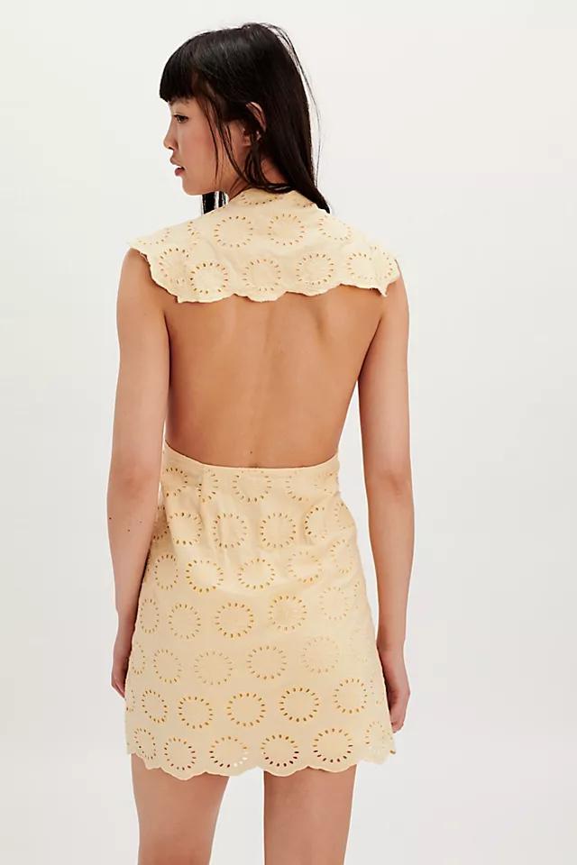Willow Eyelet Mini Dress Product Image
