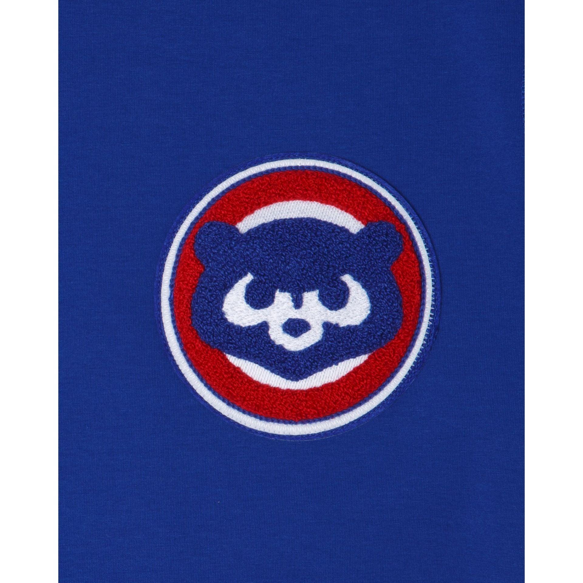 Houston Astros Logo Select Hoodie Male Product Image