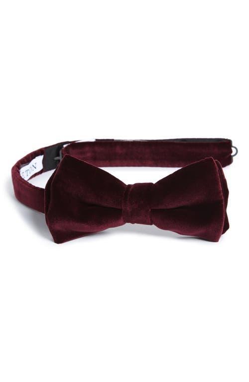 Velvet Pre-Tied Bow Tie Product Image