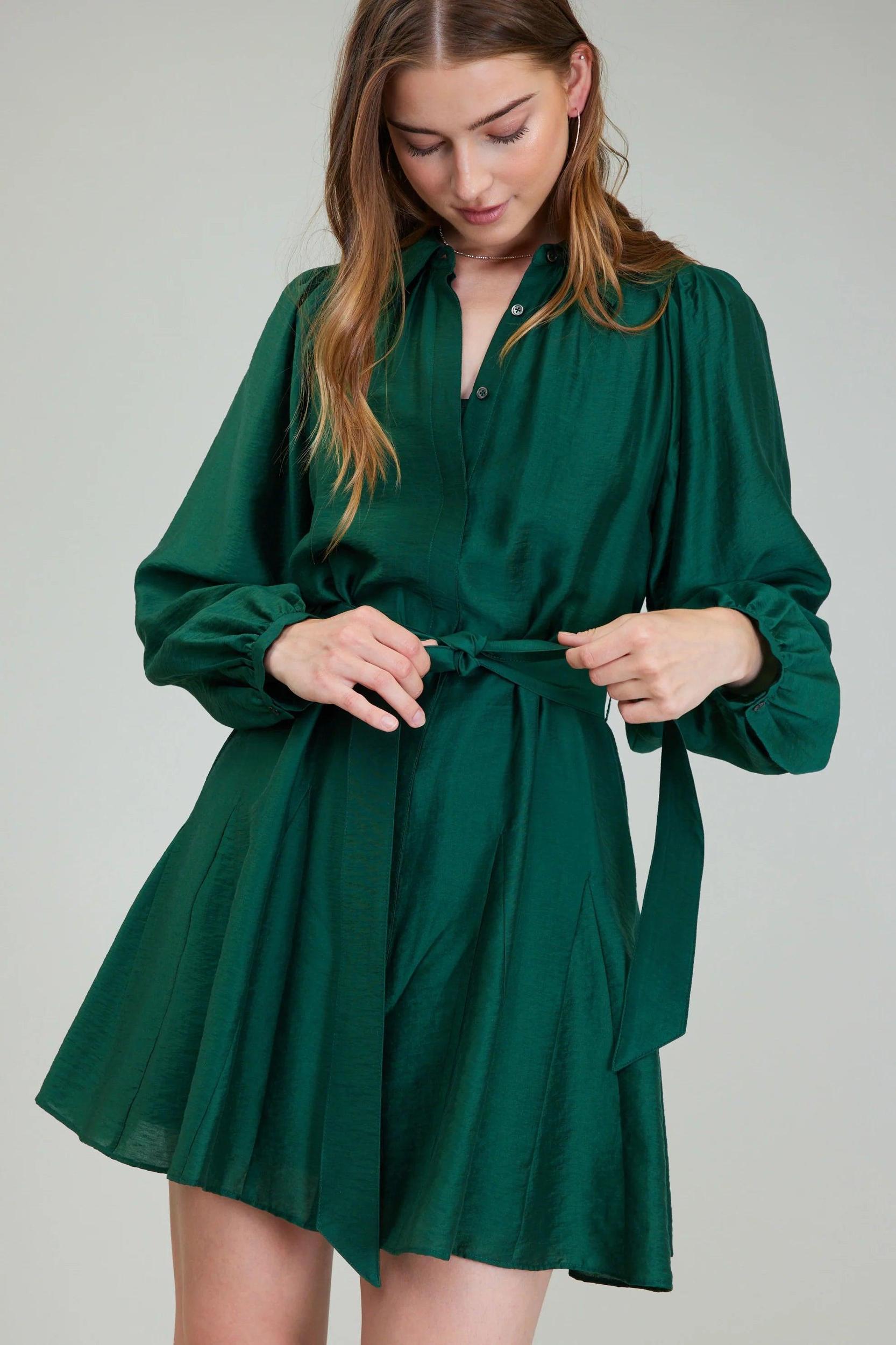 Perfect Fall Mini Dress Product Image