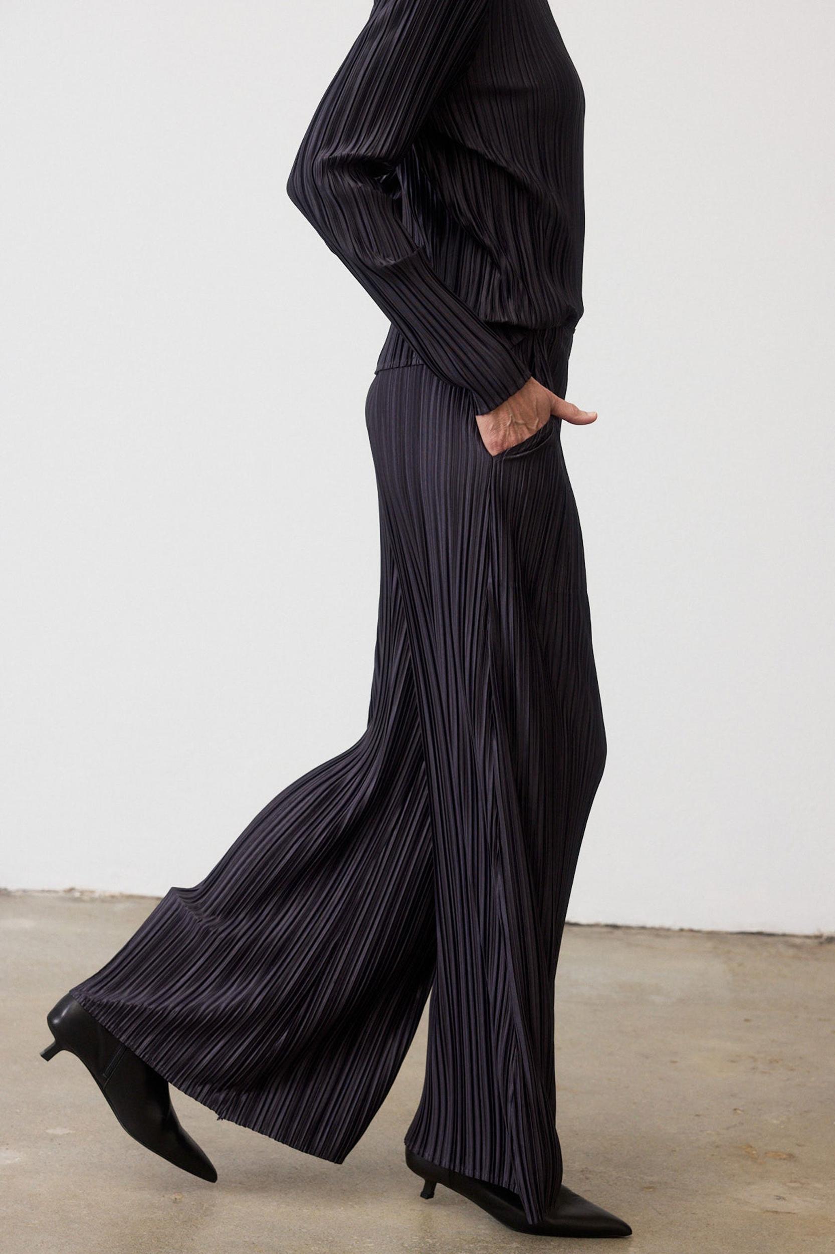 Relaxed Pleated Pants Product Image