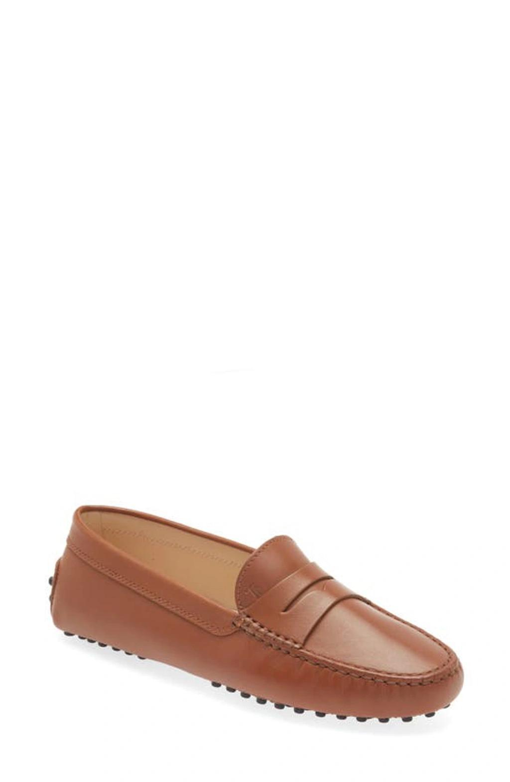 Suede Driver Penny Loafers Product Image