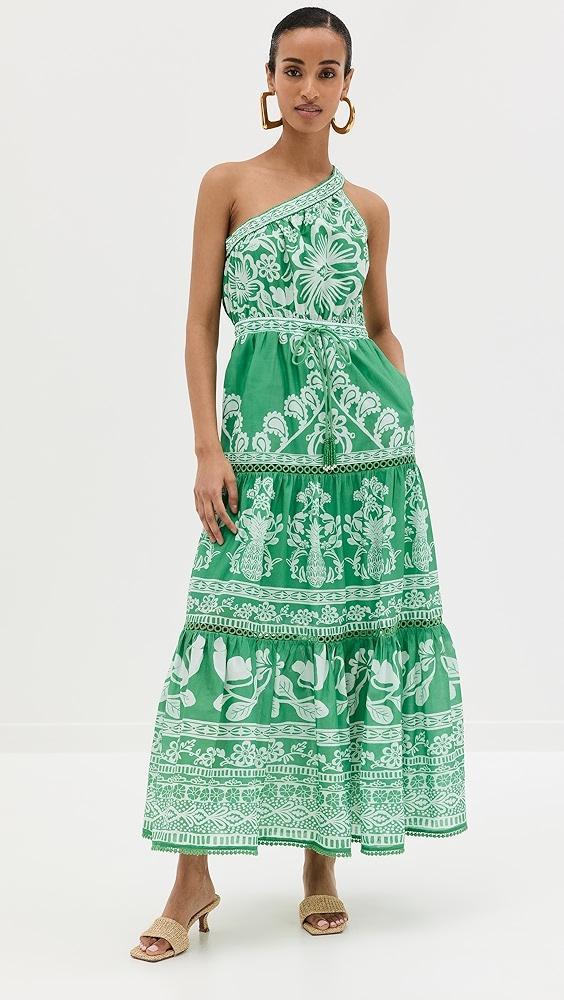 FARM Rio Sweet Garden Maxi Dress | Shopbop Product Image