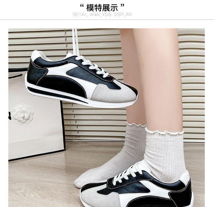 Color Block Lace-Up Sneakers Product Image