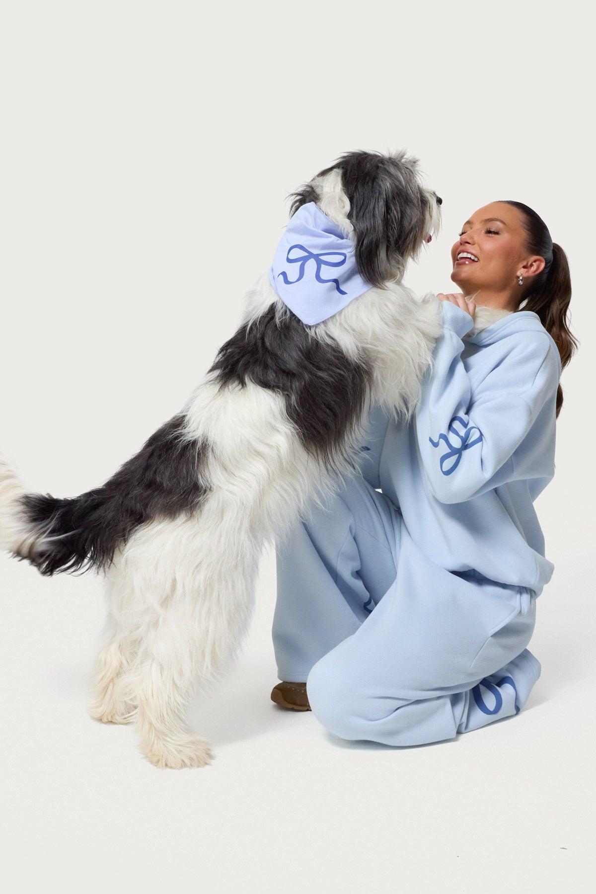 Bonney Bow Pet Bandana Product Image