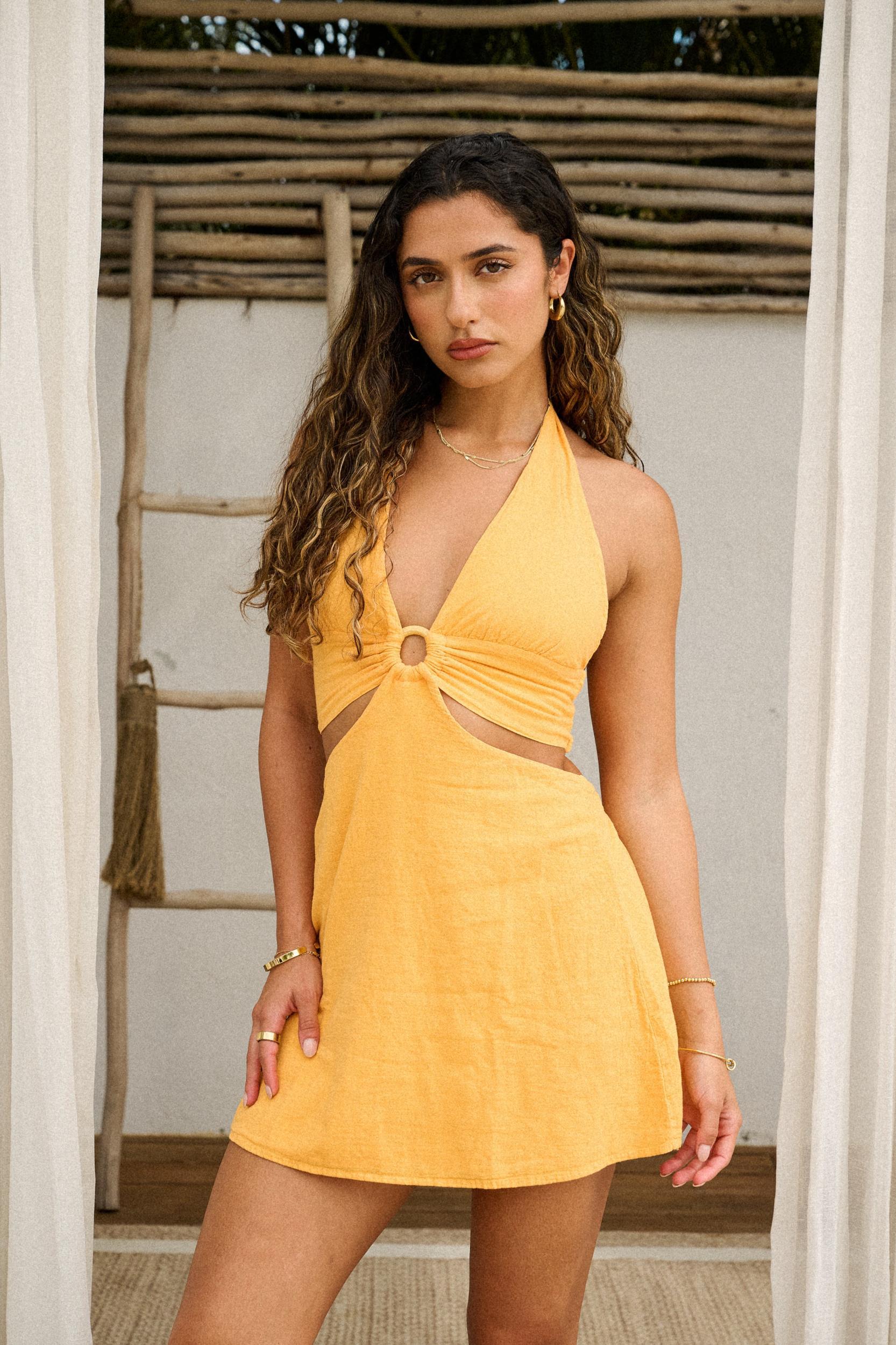 Rose Dress Product Image